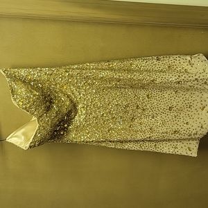 Homecoming/Prom dress